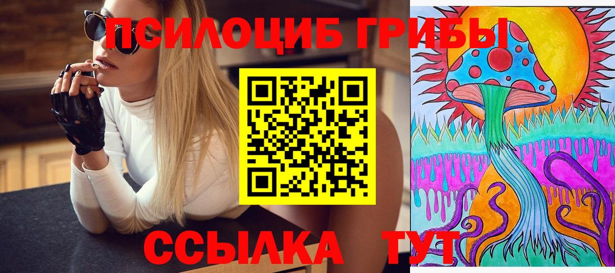 Балашиха  Псилоцибиновые грибы MAGIC MUSHROOMS  наркотики  Вход с VPN 